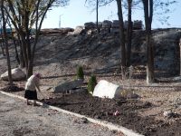 Озеленение Георгиевского парка