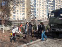 Озеленение Георгиевского парка