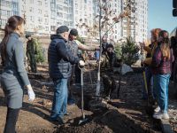 Озеленение Георгиевского парка