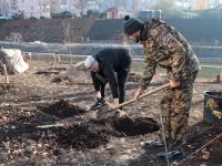 Озеленение Георгиевского парка