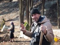 Озеленение Георгиевского парка