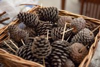 Рождественские венки из хвои