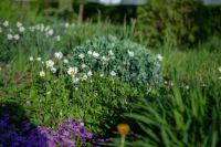 Георгиевский сад Георгиевский сад