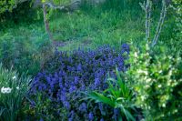 Георгиевский сад Георгиевский сад