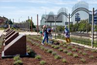 Лавандовая Аллея Славы