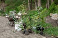 Посадка растений в Георгиевском саду