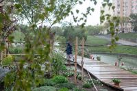 Посадка растений в Георгиевском саду