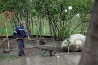 Посадка растений в Георгиевском саду