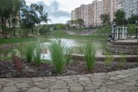 Посадка растений в Георгиевском саду