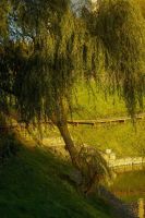 Георгиевский парк в объективе нашей прихожанки Анастасии Данильченко