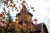 Время радоваться осенним краскам на нашем приходе!