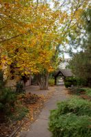 Время радоваться осенним краскам на нашем приходе!