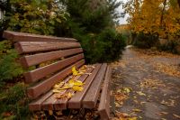 Время радоваться осенним краскам на нашем приходе!