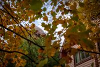 Время радоваться осенним краскам на нашем приходе!