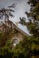 Время радоваться осенним краскам на нашем приходе!