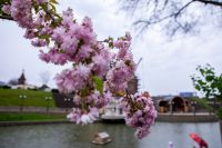 Пасхальные клумбы