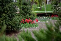 Пасхальные клумбы