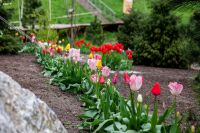 Пасхальные клумбы