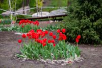 Пасхальные клумбы