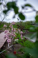 Пасхальные клумбы