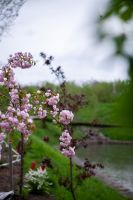 Пасхальные клумбы