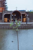 Пасхальные клумбы