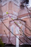 Пасхальные клумбы