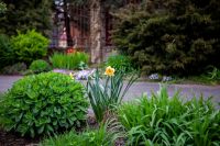 Пасхальные клумбы