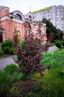 Пасхальные клумбы