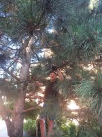 Субботник в Георгиевском саду