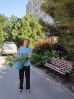 Субботник в Георгиевском саду