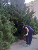 Субботник в Георгиевском саду