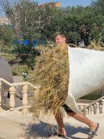 Субботник в Георгиевском саду