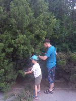 Субботник в Георгиевском саду