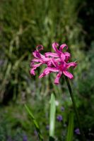 Последние теплые деньки