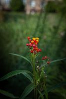 Последние теплые деньки