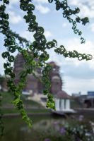 Последние теплые деньки