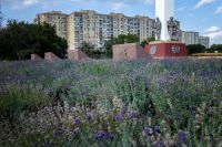 Последние теплые деньки