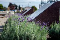 Последние теплые деньки