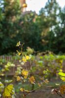 Долгожданная осень на приходе