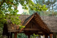 Долгожданная осень на приходе