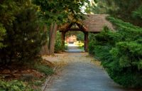 Долгожданная осень на приходе