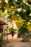 Долгожданная осень на приходе