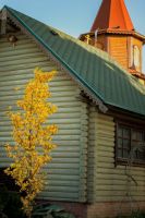 Долгожданная осень на приходе