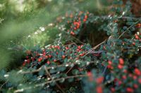 Долгожданная осень на приходе