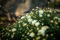 Долгожданная осень на приходе