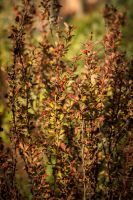 Долгожданная осень на приходе