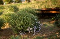 Долгожданная осень на приходе