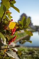 Долгожданная осень на приходе