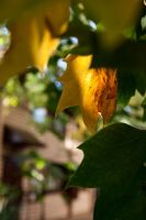 Долгожданная осень на приходе